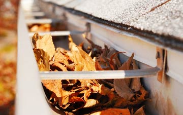 Winterborne Tomson gutter cleaning companies