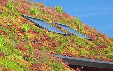 Winterborne Tomson living roof systems