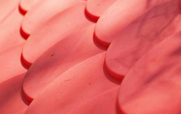 Winterborne Tomson plastic roof costs