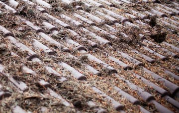 Winterborne Tomson roof cleaning companies