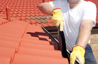 Winterborne Tomson roof cleaners