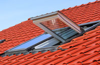 Winterborne Tomson roof window
