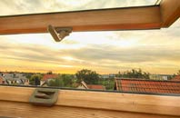 rated Winterborne Tomson roof window companies